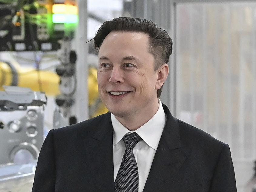caption: Tesla CEO Elon Musk.
