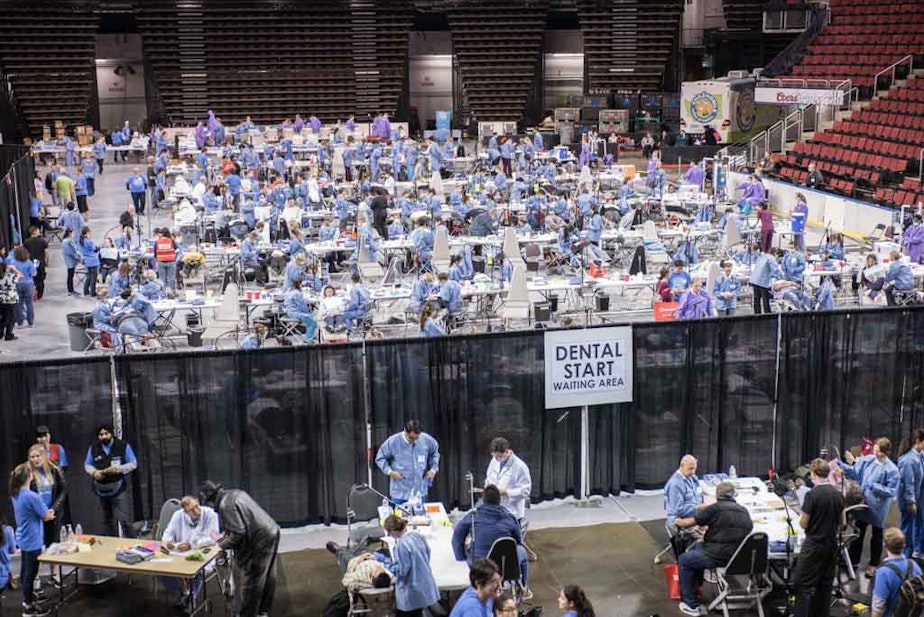 caption: People get free dental care at the 2015 Seattle King County free clinic