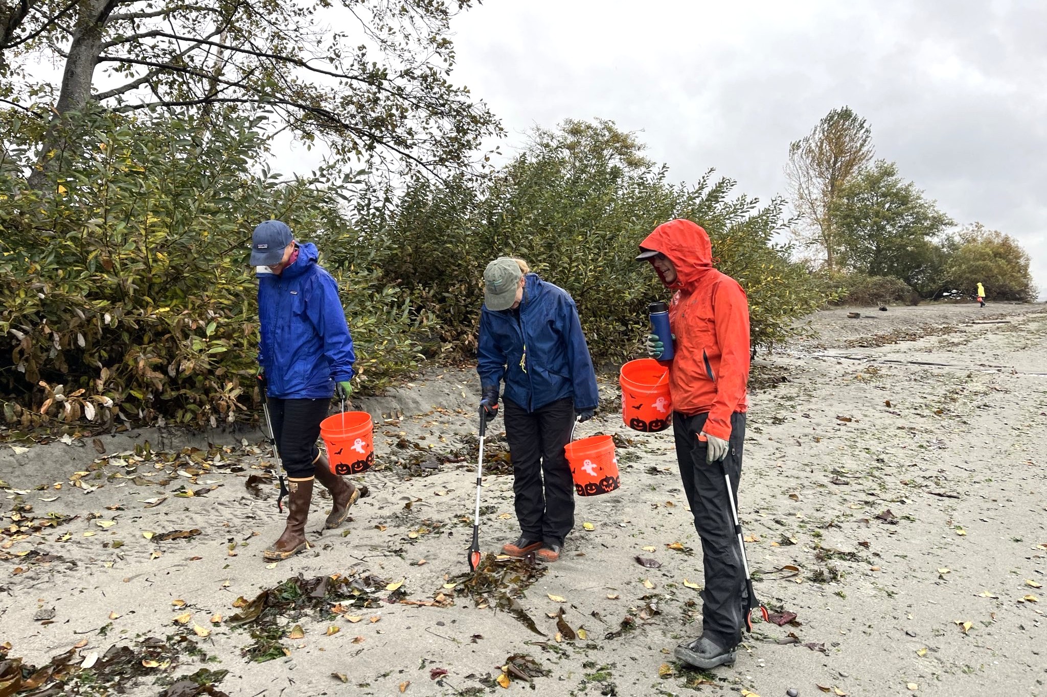 caption: Furloughed National Oceanographic and Atmospheric Administration employees pick up trash at Seattle's Golden Gardens Park on Oct. 24, 2025.
