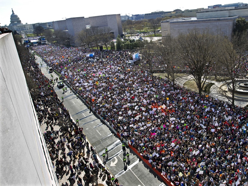 caption: In this March 2018 photo, protesters fill Pennsylvania Avenue during the March for Our Lives rally in support of gun control. The student-led demonstration was one of the motivations for a new Fairfax Schools policy giving students one day off per year for protests.
