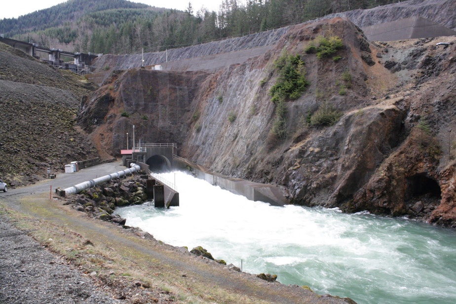 caption: The Green River emerges from the Howard Hanson Dam. The Green River receives several smaller tributaries.