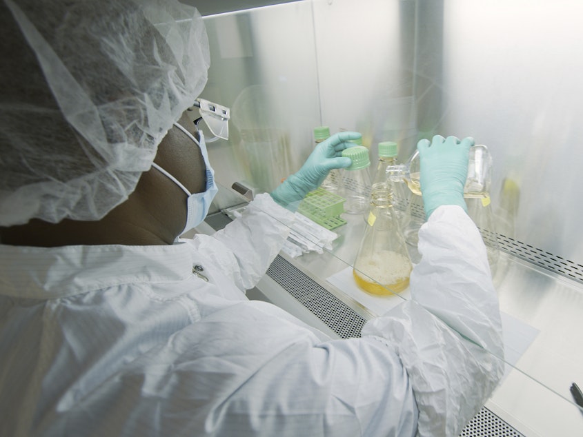 caption: An Eli Lilly researcher tests possible COVID-19 antibodies in a company laboratory in Indianapolis.