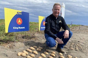 caption: Ken Luke, a manager with McCain Foods, shows off some of the old standby potato varieties, along with some of the new, like the fresh “King Russet,” at a recent field day in Quincy.