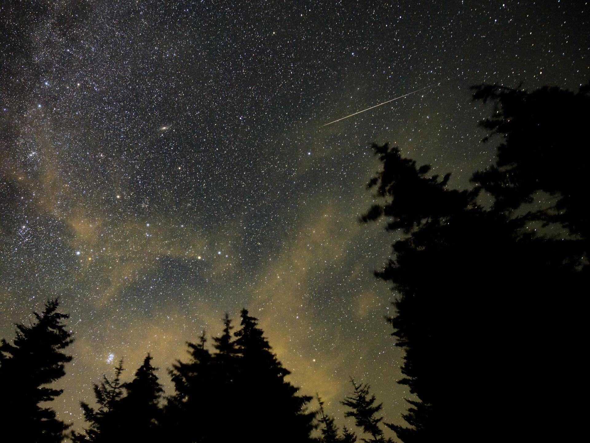 caption: A meteor streaks across the sky during the 2021 Perseid meteor shower.