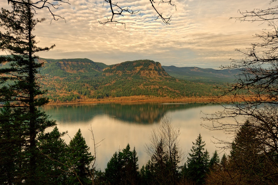 caption: Columbia River Gorge.