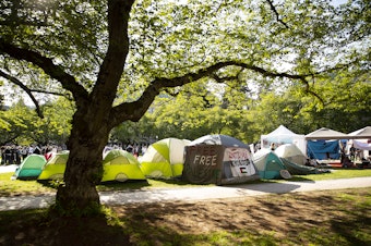 caption:  A growing number of tents are shown at the UW Palestine Encampment on Wednesday, May 1, 2024, on the University of Washington Quad in Seattle