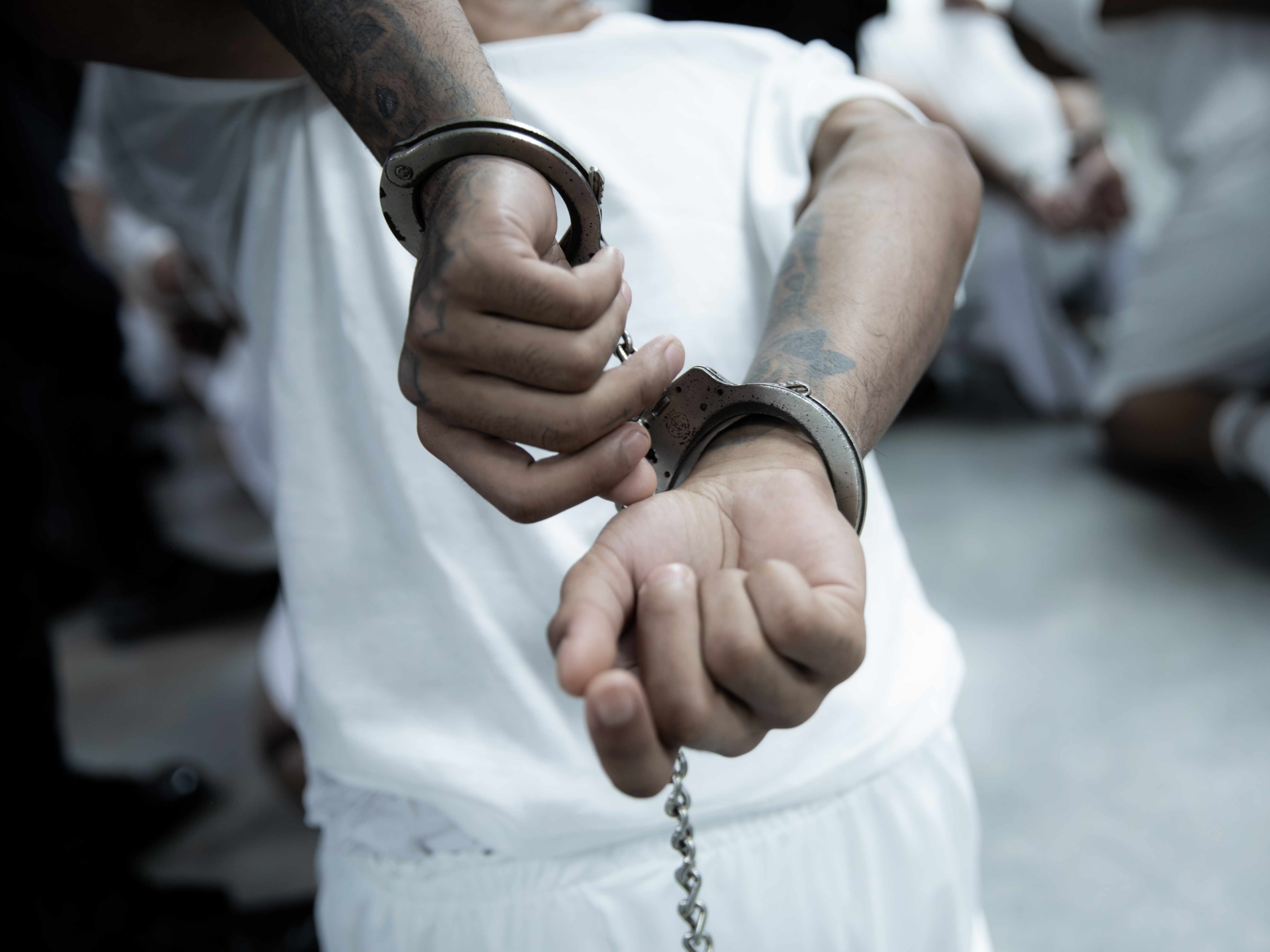 caption: The Trump administration deported hundreds of alleged members of the Tren De Aragua and Mara Salvatrucha gangs to El Salvador over the weekend.