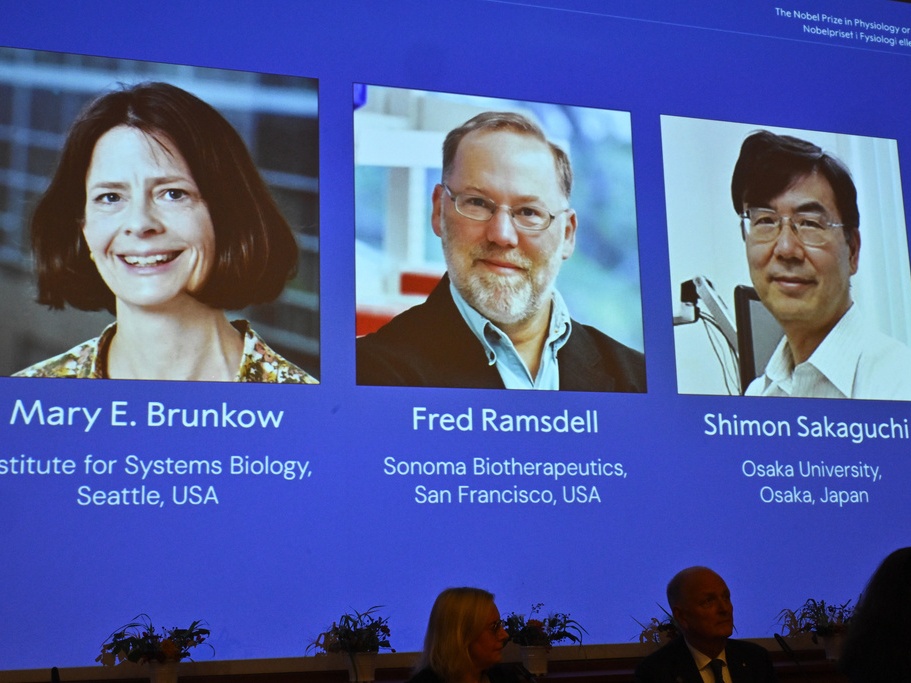 caption: A screen showing the photos of Mary E Brunkow, Fred Ramsdell and Shimon Sakaguchi, who on Monday were awarded the Nobel Prize in Medicine or Physiology at the Nobel Assembly of the Karolinska Institutet in Stockholm, Sweden.