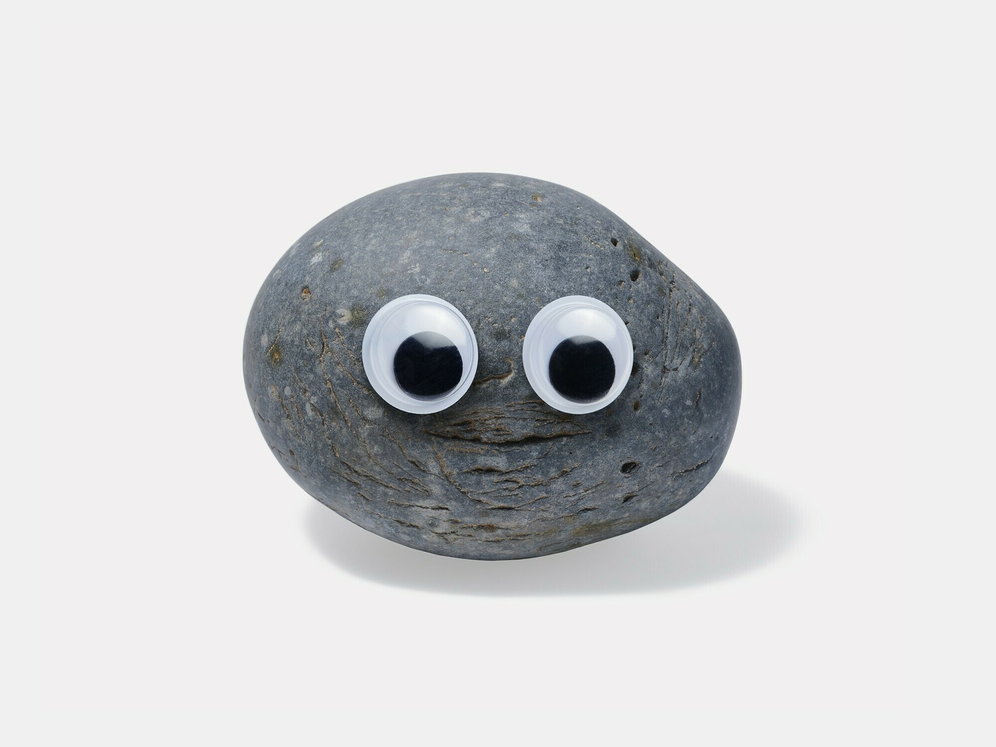 caption: This item, described as "Googly eye rock boulder stunt double from the Rockverse," sold for $13,200, with proceeds going to the Asian Mental Health Project.