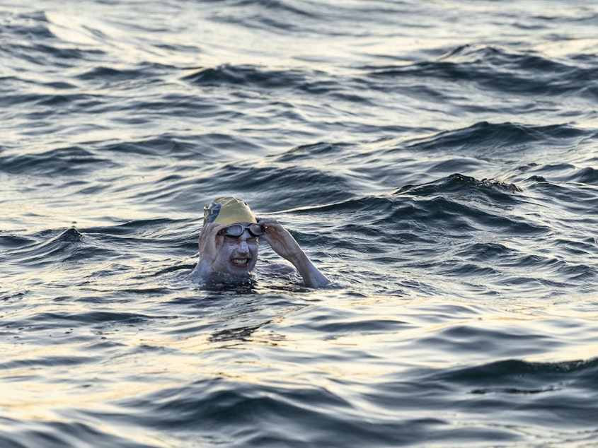 caption: Sarah Thomas, a 37-year-old cancer survivor, swims across the 21-mile English Channel. She said she had been stung in the face by a jellyfish during the epic swim.