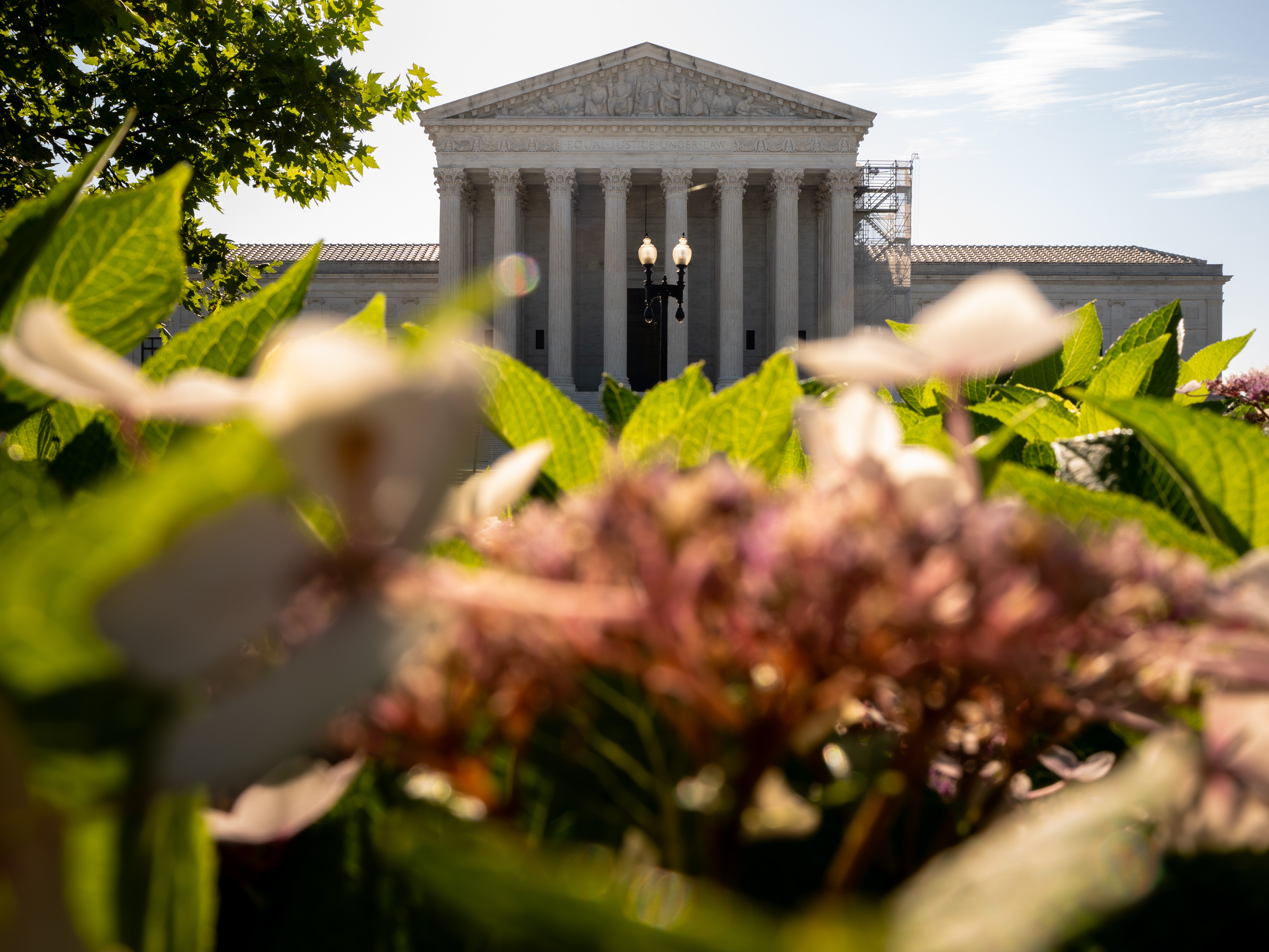 caption: The Supreme Court