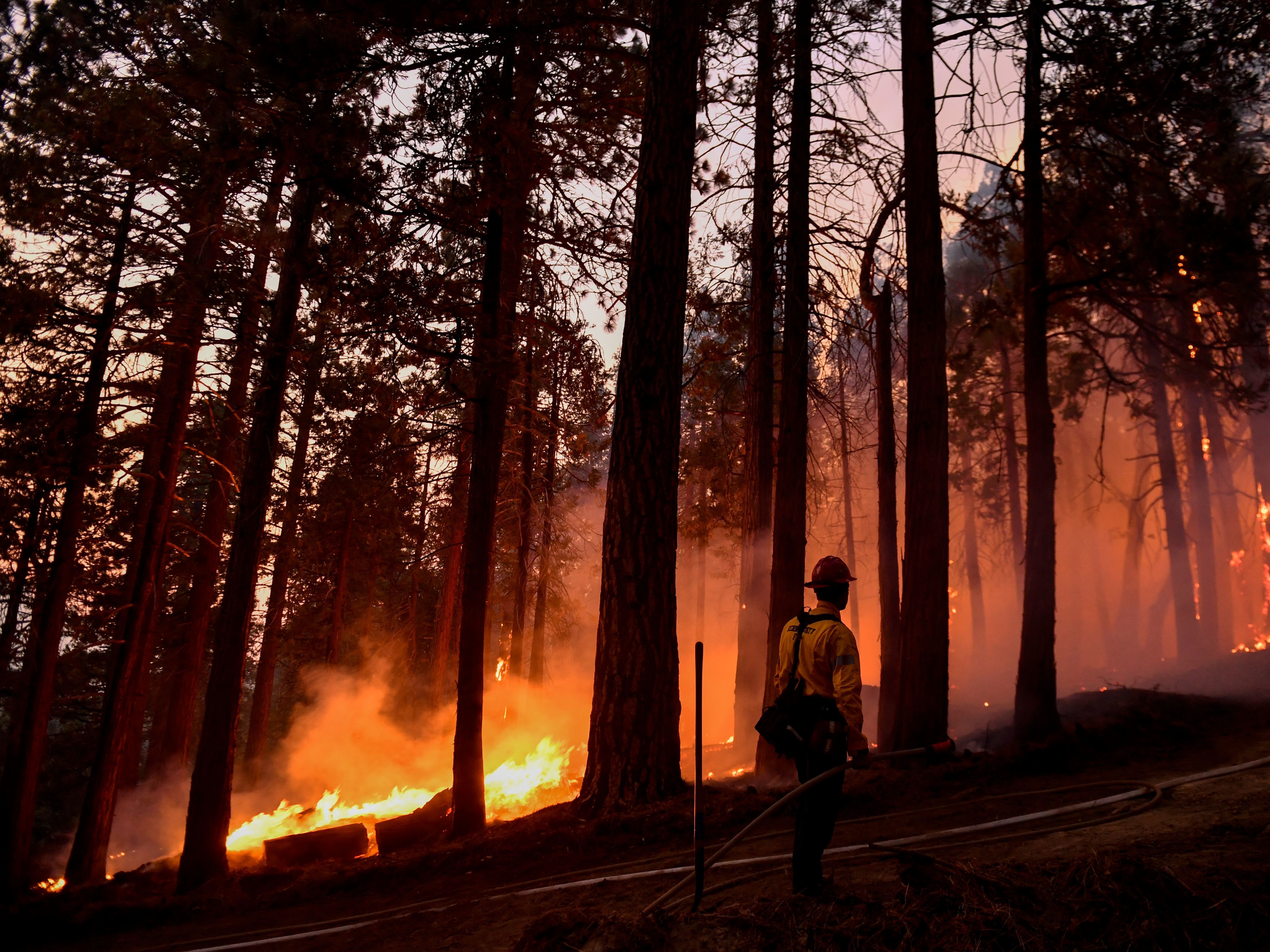 caption: A Kern County firefighter keeps an eye on a burning tree as the wildfire burns closer to homes during the French Fire in the Sequoia National Forest near Wofford Heights, Calif. earlier this month.