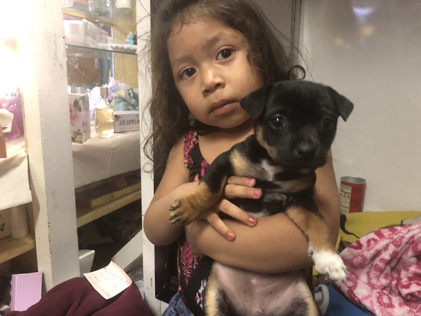 caption: Three-year-old, Stephanie Medina Sanchez squeezes close her Chihuahua puppy. She’s the granddaughter of a local flower shop owner in Mattawa, in central Washington. Her mother says the farmworkers often come in to buy flowers, but the young men are lonely for their families back in Mexico.  

