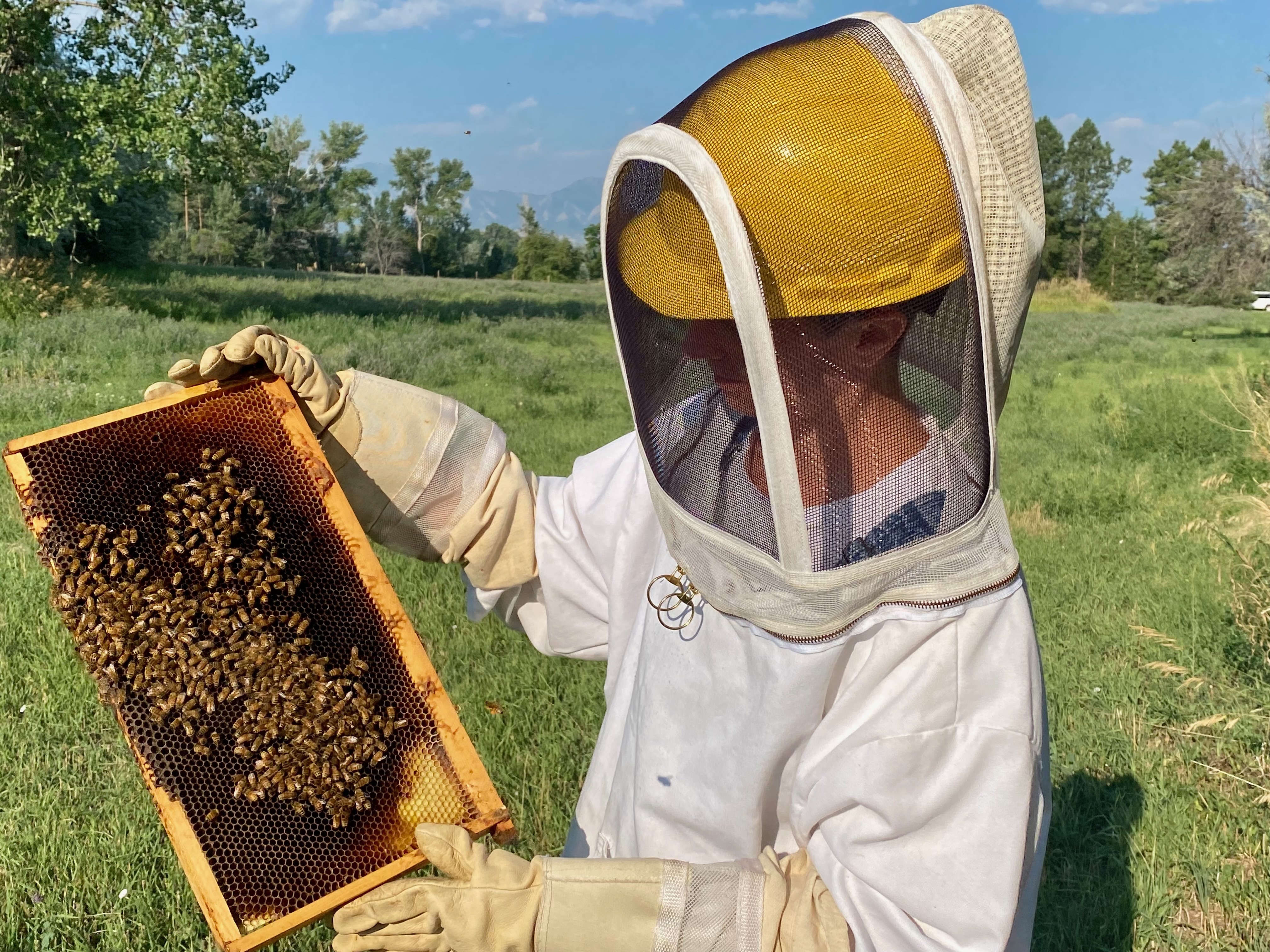 caption: Kimberly Drennan, CEO and cofounder of Colorado company HiveTech Solutions, checking on her bees in Boulder.