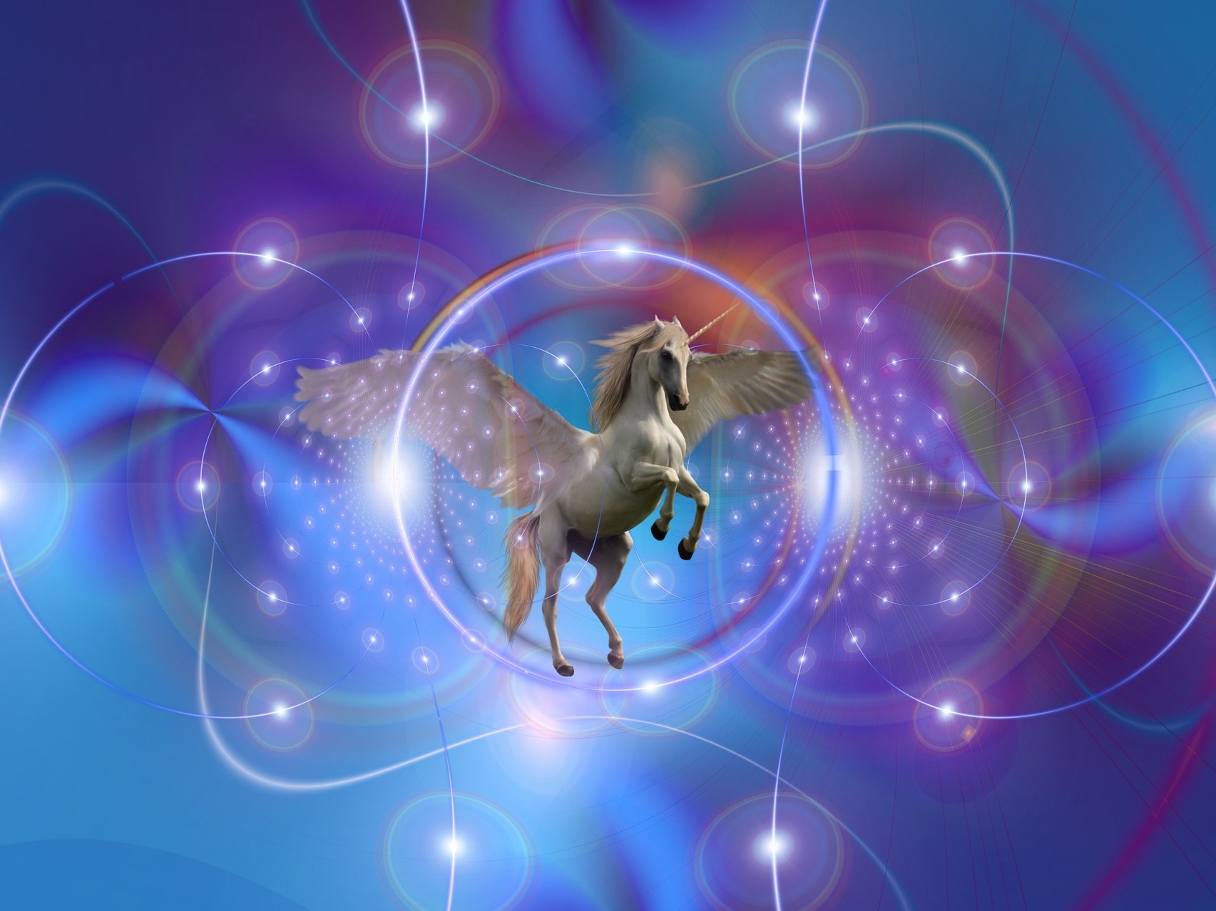 caption: A majestic unicorn