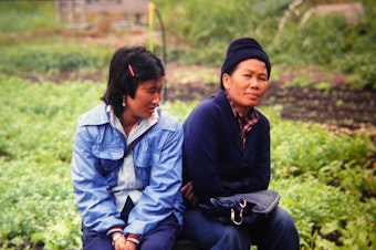 caption: Cheu Chang, right, at the Indochinese Farm Project in Woodinville in the mid-80s.