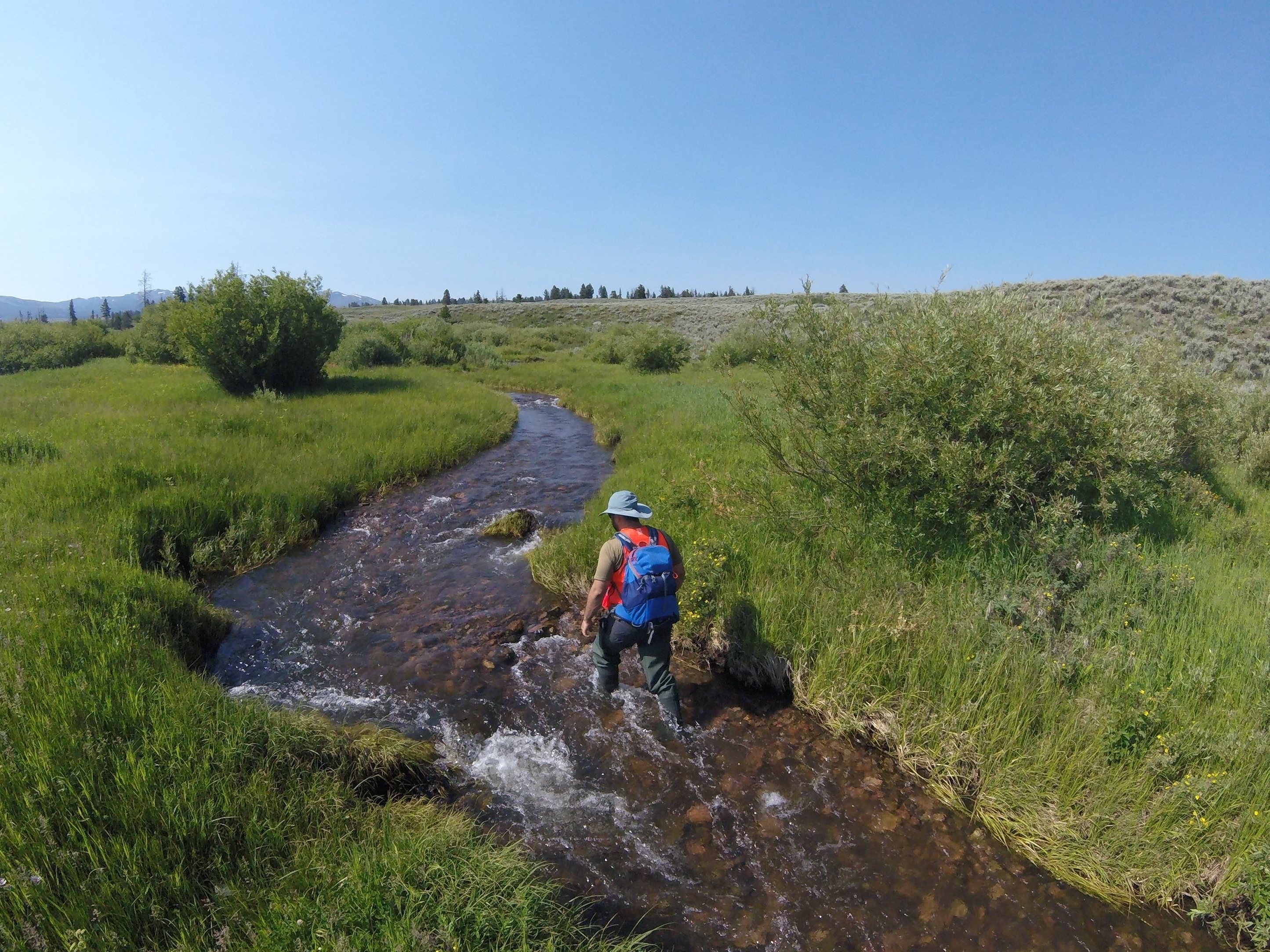 caption: Blacktail Deer Creek in Yellowstone National Park, seen here in a 2019 photo from the ecological study known as NEON, is one site where researchers have bubbled sulfur hexafluoride into the water.
