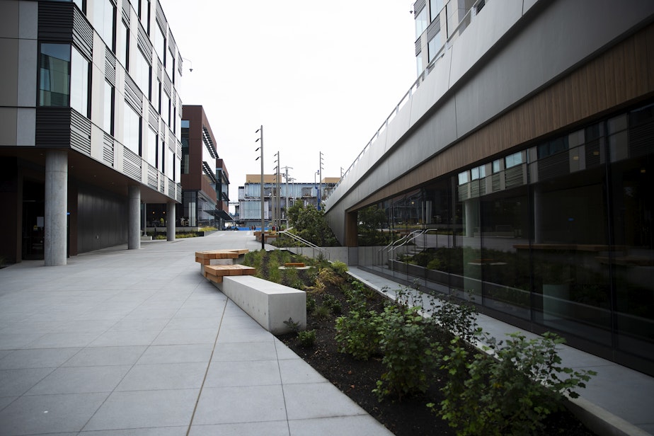 caption: A portion of the new Microsoft campus in Redmond is shown on Wednesday, October 4, 2023.