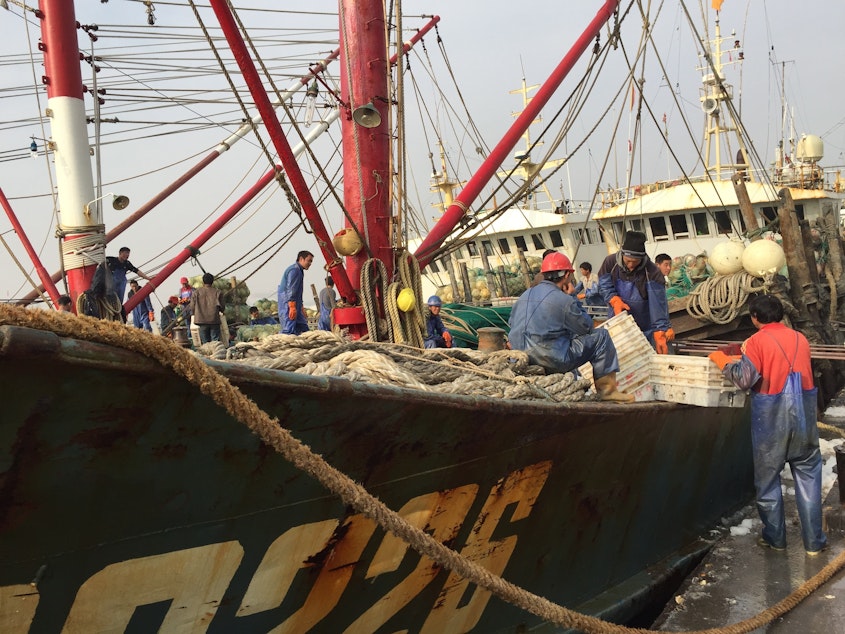 caption: Large fishing boats use voluminous trawl nets, longlines miles in length, and other industrial gear to catch fish on the high seas, which can destroy habitats and kill other sea life.