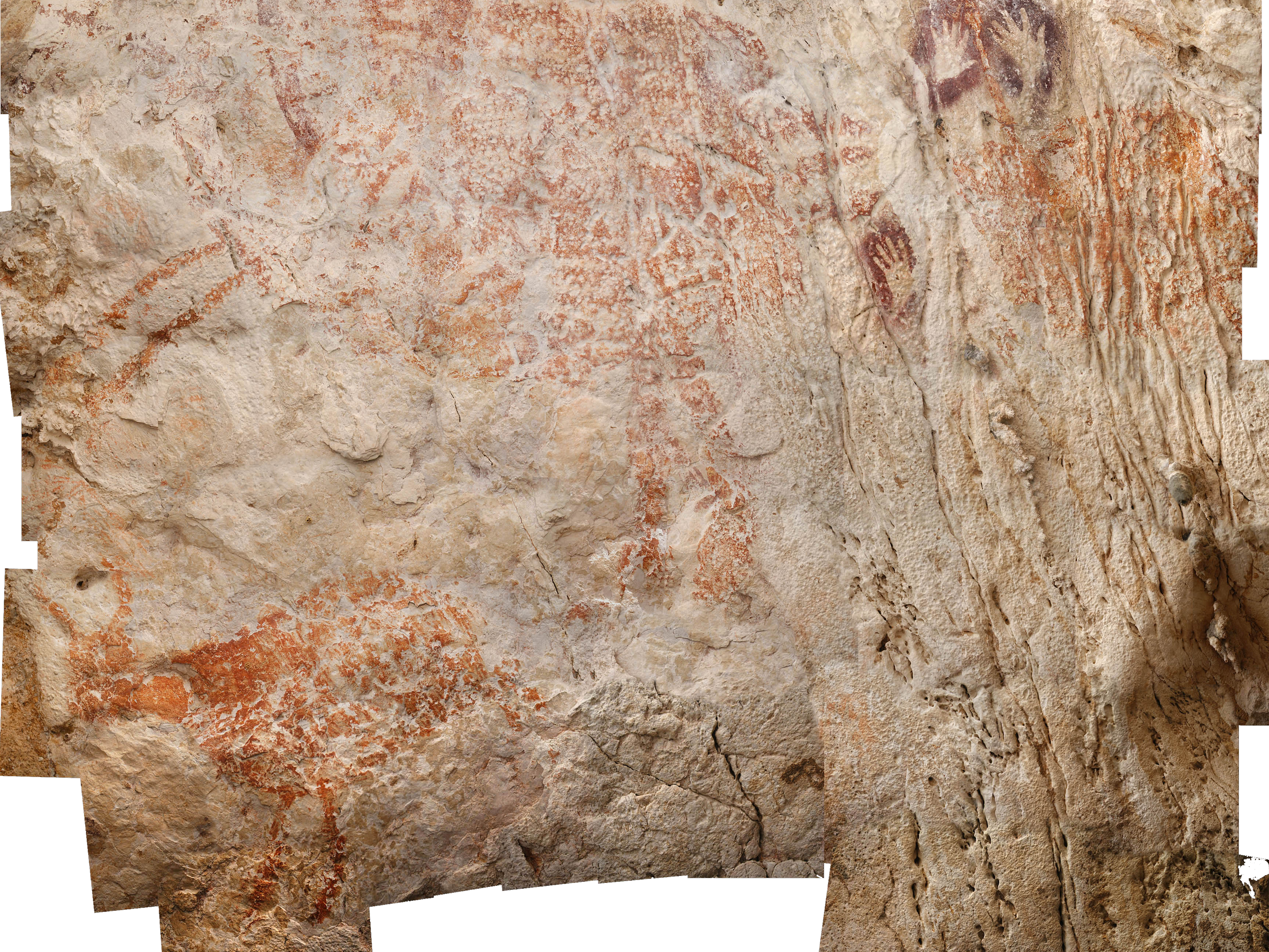 caption: The oldest figurative painting, found in caves at the far eastern edge of the island of Borneo, depicts a wild cow with horns and dates to at least 40,000 years ago — thousands of years older than figurative paintings found in Europe.