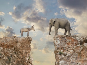 A donkey and an elephant stare at each other across a chasm.