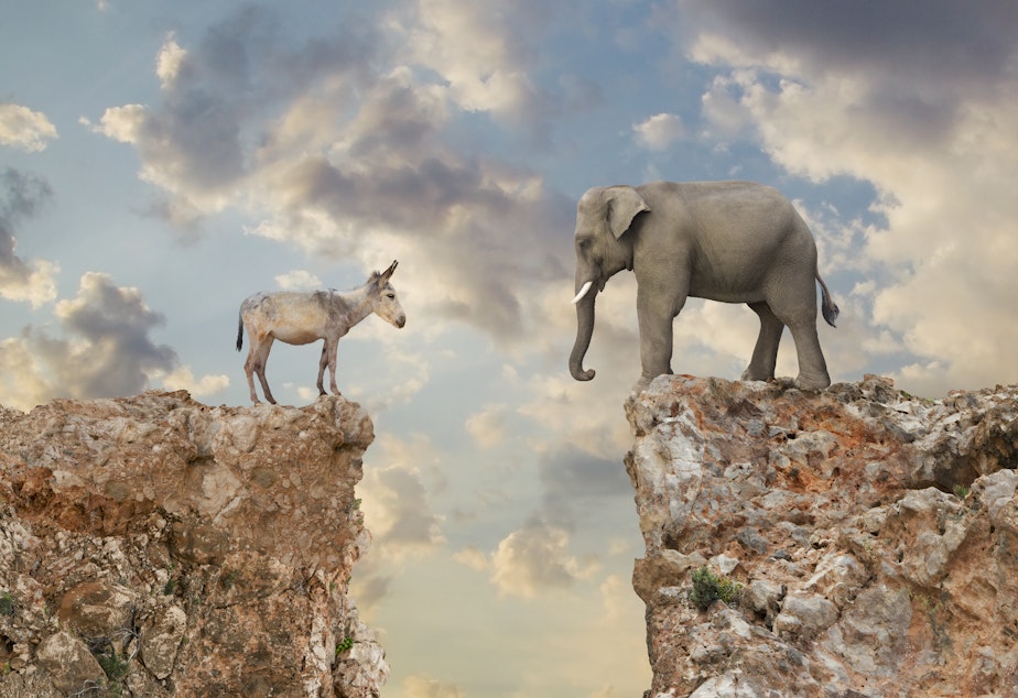 A donkey and an elephant stare at each other across a chasm.