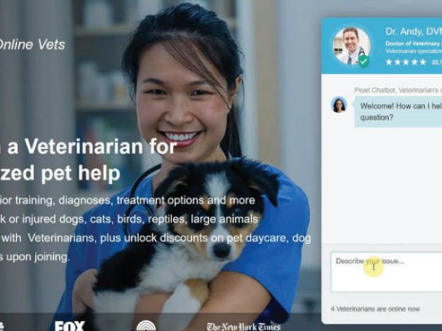 caption: An example of one of the websites controlled by Just Answer.