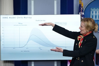 caption: Response coordinator for White House Coronavirus Task Force Dr. Deborah Birx speaks at Monday's press briefing as she points at a graphic.