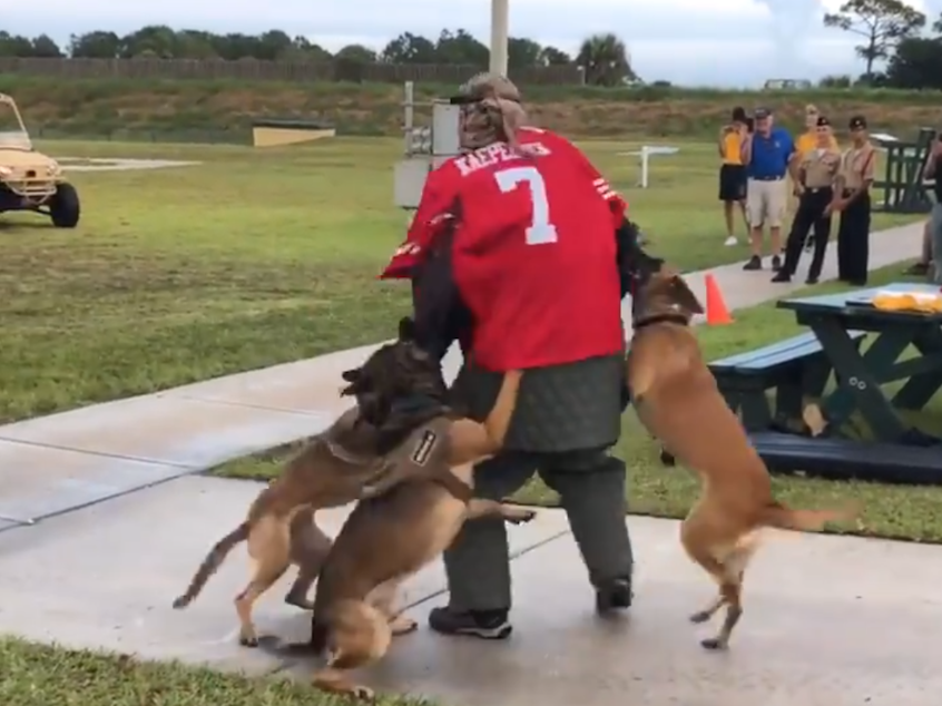 caption: A screenshot of a video posted on Twitter by Billy Corben shows a K-9 demonstration with a man wearing a Colin Kaepernick jersey.