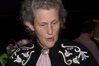 caption: Dr. Temple Grandin at the University of Washington