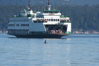 caption: Washington State Ferry passengers watch an orca en route to Canada from Friday Harbor in 2007.