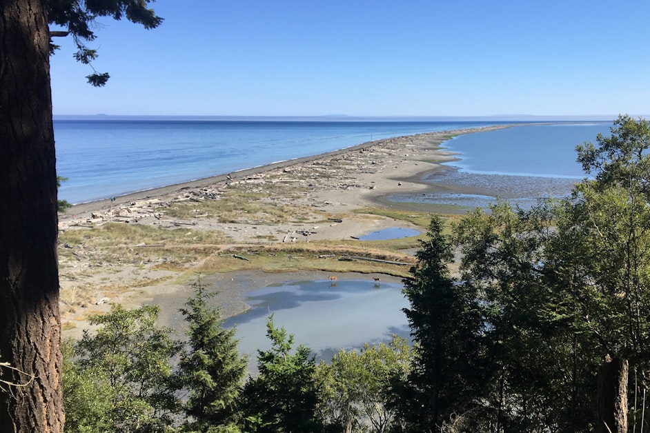 KUOW - Washington tribe seeks control of Dungeness Spit refuge
