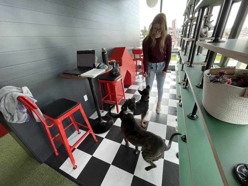 caption: The dog lounge in Google's newest office tower in Kirkland