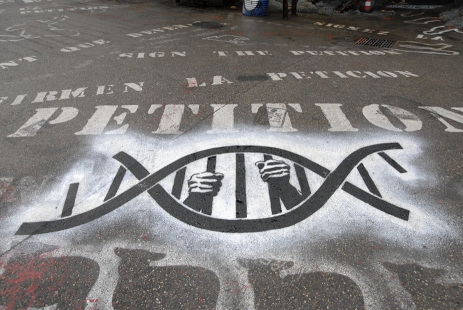 caption: Hands hold a DNA molecule whose bars have been formed into a cage.