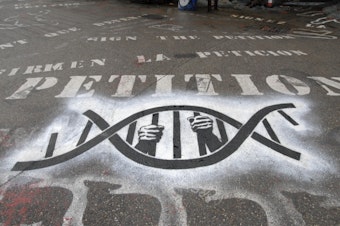 caption: Hands hold a DNA molecule whose bars have been formed into a cage.
