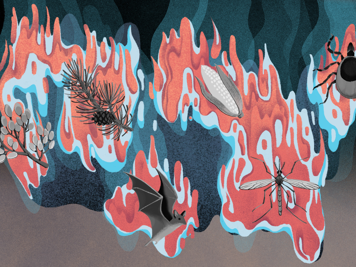 Warming winters in the United States