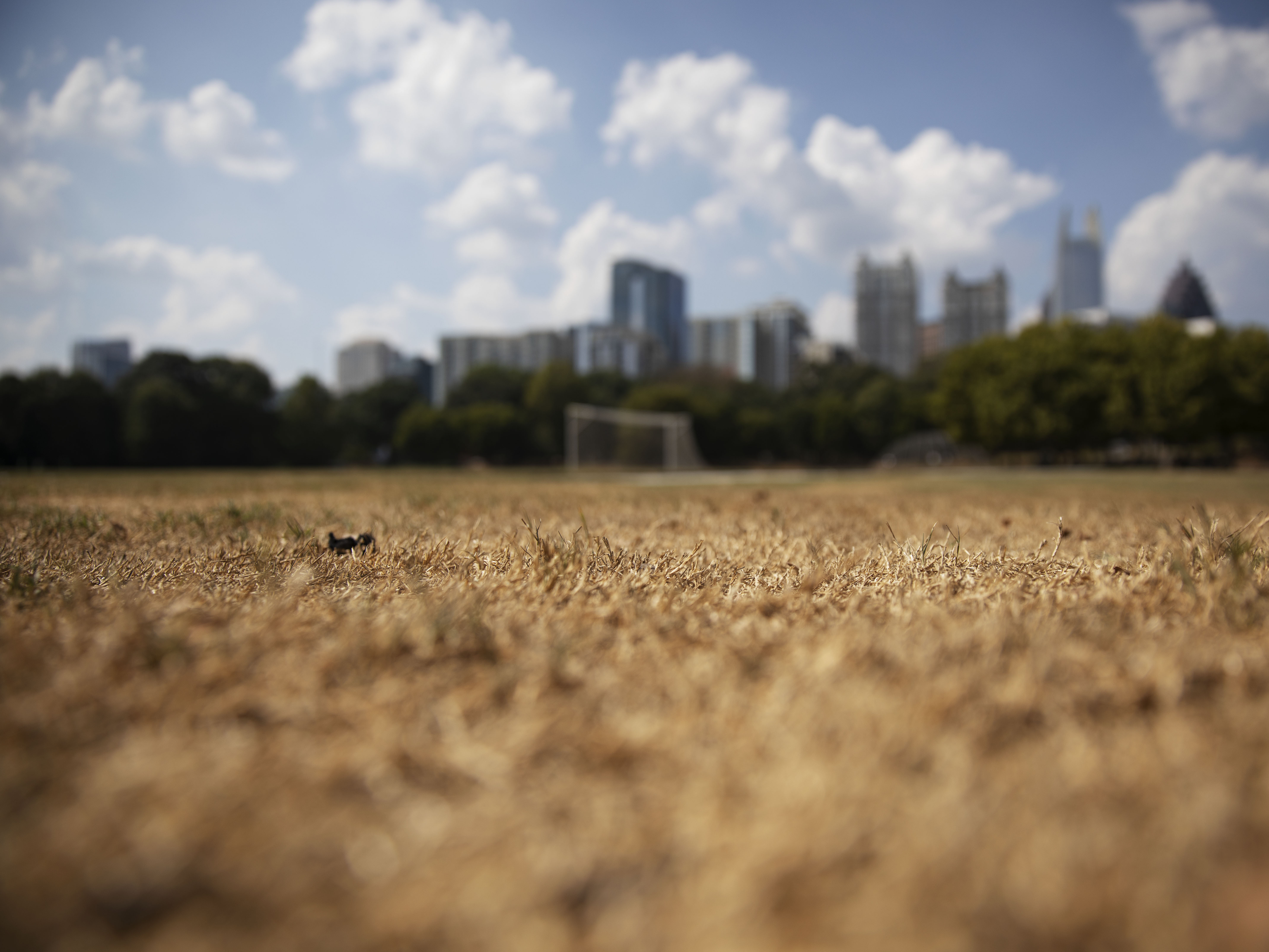 caption: For decades, the Earth has steadily gotten hotter. The planet has already warmed about 1 degree Celsius compared with the mid-20th century.