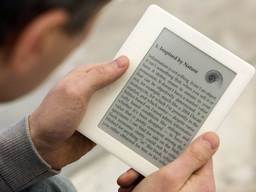 caption: A man reads a book on his e-book reader device. 