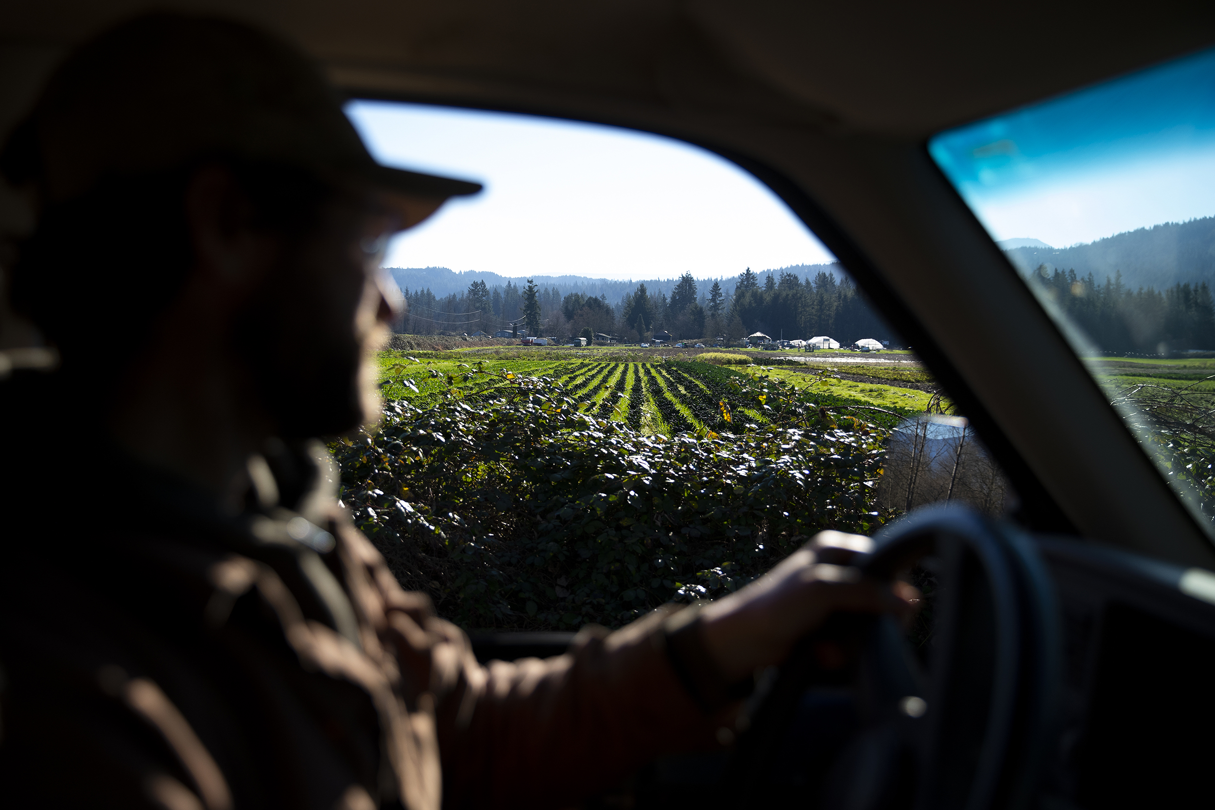 caption: First generation farmer Ryan Lichttenegger drives toward garlic and shallot crops that were damaged in December’s flooding, on Wednesday, Jan. 14, 2026, at Steel Wheel Farm in Fall City. 