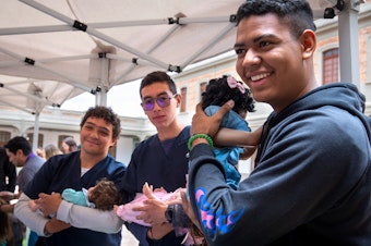 caption: At a one-day workshop run by the Care School for Men in Bogotá, Colombia, male medical students at Sanitas University learn how to cradle a baby. This class of participants consists of medical students, but the usual enrollees are dads of all types.