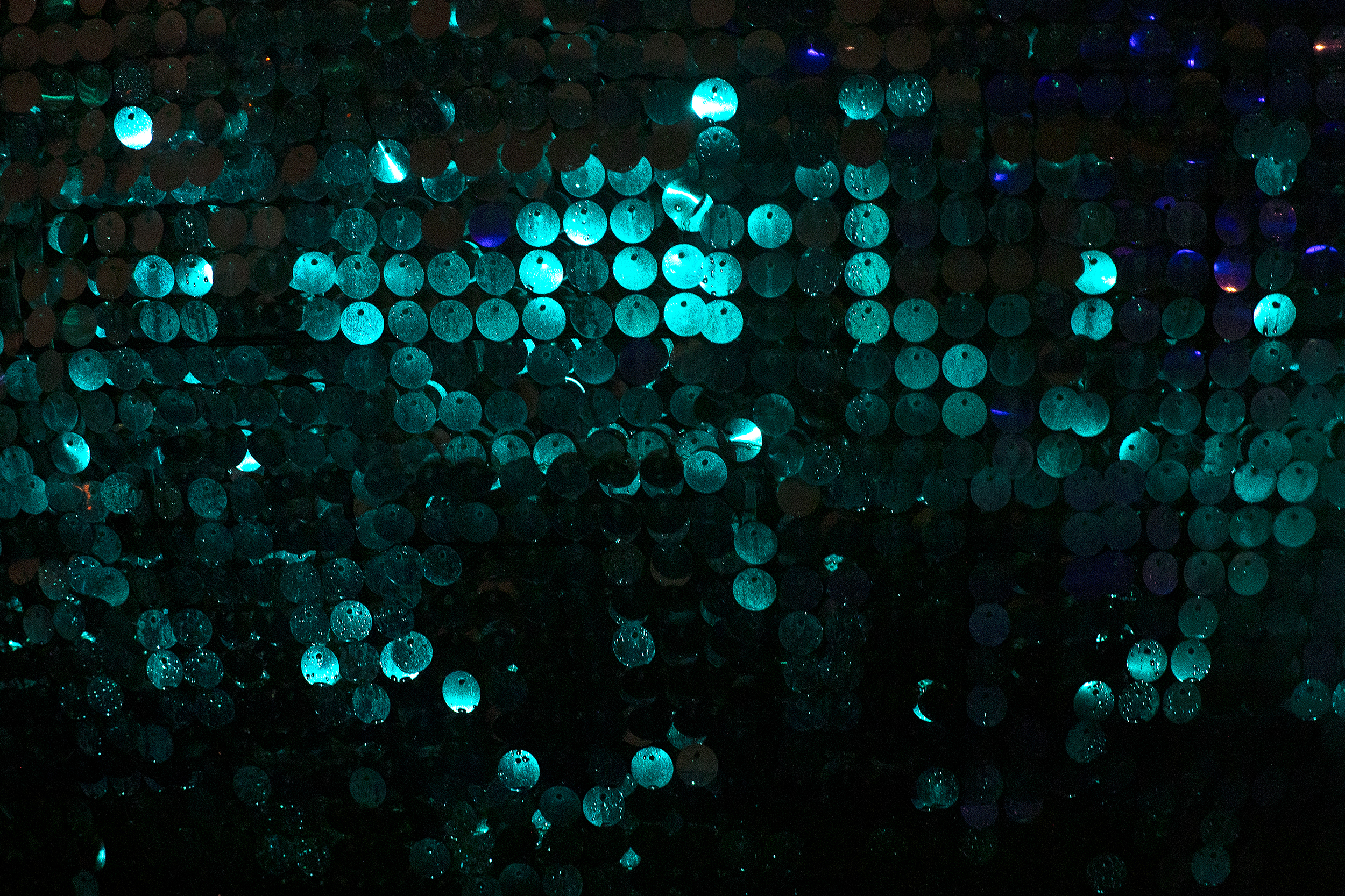 caption: A portion of a large disco ball is shown at Astra Lumina on Thursday, December 4, 2025, at the Seattle Chinese Garden in West Seattle. 