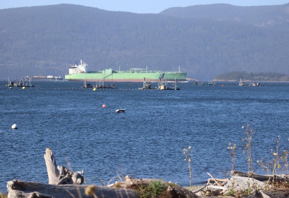 KUOW Rising Tide Pacific Northwest Could Soon Double Or Triple Its kuow-rising-tide-pacific-northwest-could-soon-double-or-triple-its