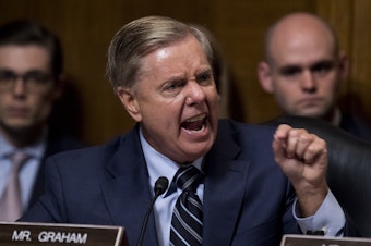 caption: Sen. Lindsey Graham, R-S.C., points at Democrats as he defends Supreme Court nominee Brett Kavanaugh at the Senate Judiciary Committee hearing last week.