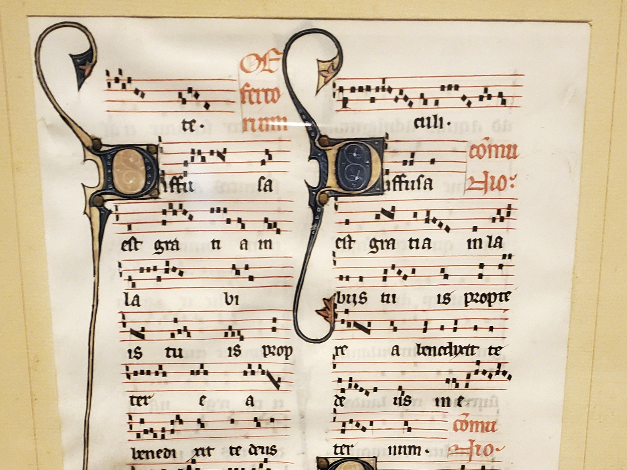 caption: Will Sideri bought a 700-year-old manuscript that was used in the Beauvais Cathedral in France for $75 at an estate sale in Waterville, Maine. An expert on manuscripts said the document could be worth as much as $10,000.