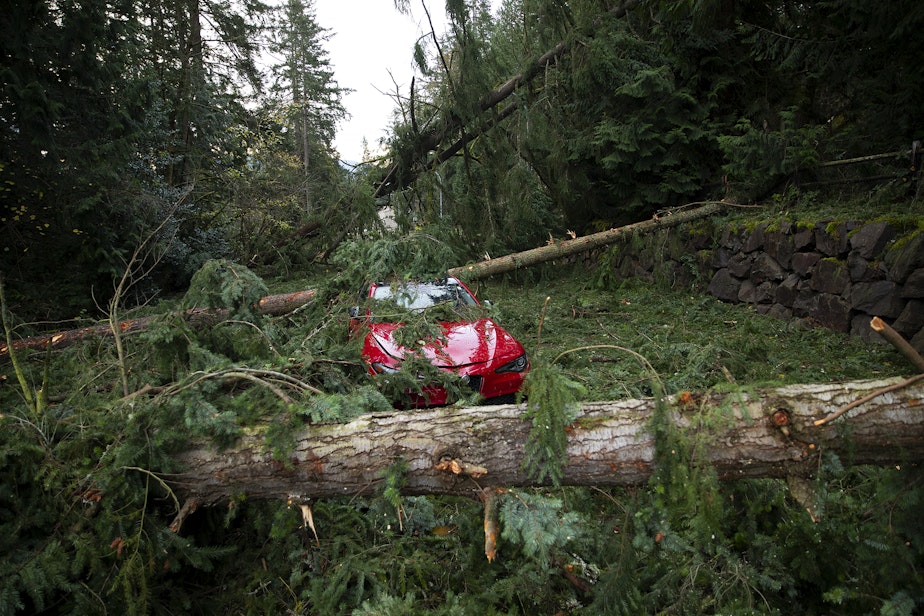 caption: An abandoned car sits surrounded by fallen trees and debris following a "bomb cyclone" on Nov. 21, 2024, along Northup Way in Bellevue, Washington.
