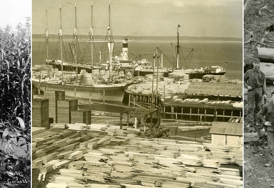 caption: Left: Frank Wright, owner of the Carlisle Packing Co., standing next to his field of corn (presumably fertilized by salmon), ca. 1915, Whatcom Museum, Bellingham. Center: Loading lumber at Bloedel-Donovan Mill, 1935, Galen Biery Collection, Center for Pacific Northwest Studies. Right: Miners at the mouth of the Blue Canyon coal mine, ca. 1890, a few years before an explosion at the mine killed twenty-three miners, making it one of the largest industrial accidents in Washington’s history.