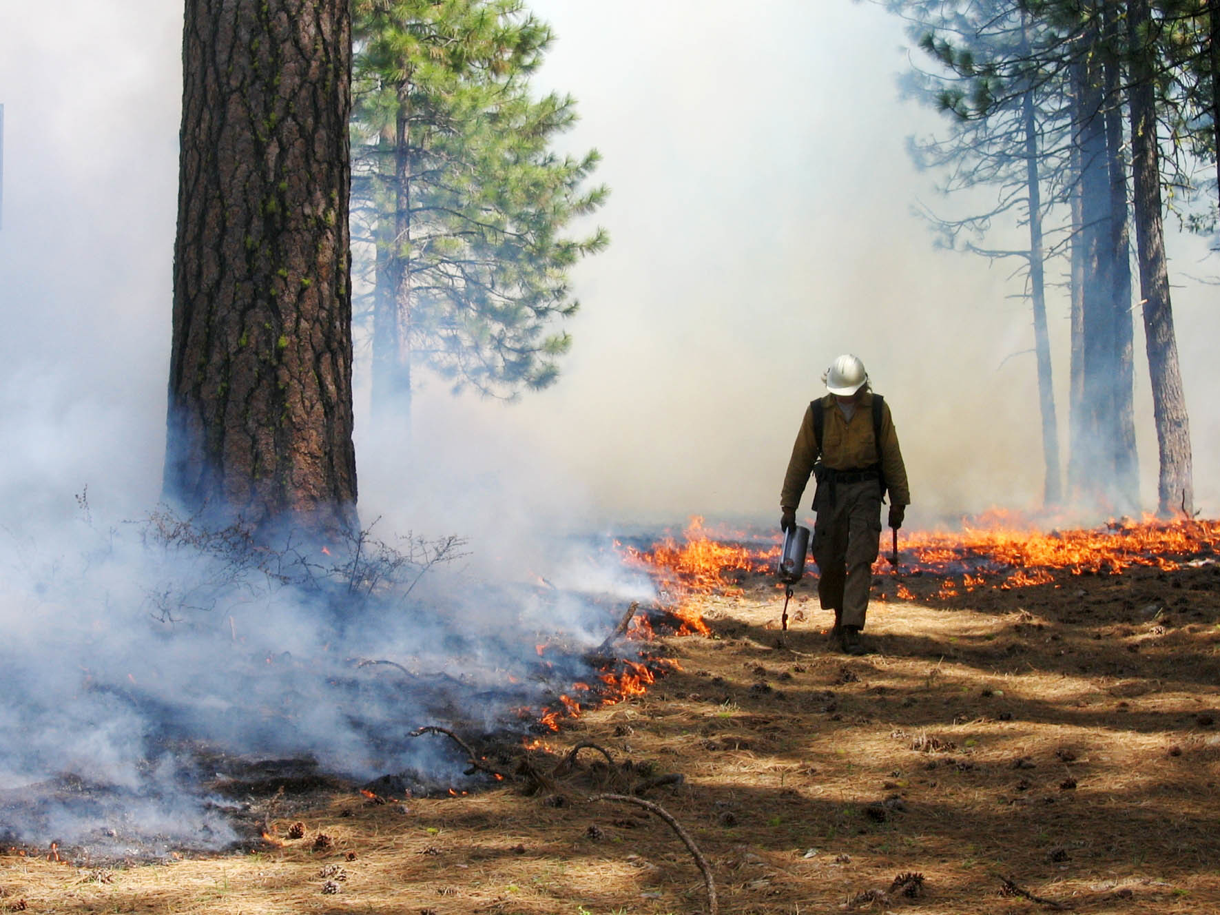 caption: Controlled burns, like this one in Lassen Volcanic National Park, reduce the risk of extreme fires by clearing flammable brush.