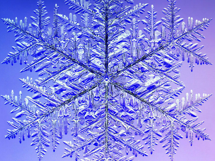 caption: This 10.0 mm (0.4 inches) monster snowflake holds the Guinness record for the largest snow crystal. A microscope was used to photograph it in four quadrants, which were later digitally recombined.