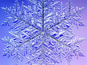 caption: This 10.0 mm (0.4 inches) monster snowflake holds the Guinness record for the largest snow crystal. A microscope was used to photograph it in four quadrants, which were later digitally recombined.