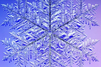 caption: This 10.0 mm (0.4 inches) monster snowflake holds the Guinness record for the largest snow crystal. A microscope was used to photograph it in four quadrants, which were later digitally recombined.